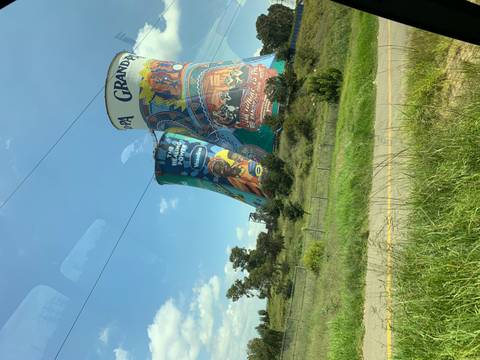       Colorful Orlando cooling towers covered in murals rising above grassy roadside in Soweto
  