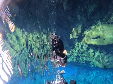       Snorkeler floating over vivid green rocks in crystal-clear blue water.
  