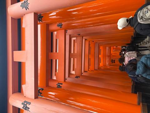       Crowds walk through consecutive bright orange torii gates at Fushimi Inari Shrine.
  