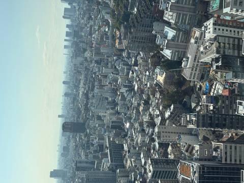       High-angle panoramic view over Tokyo’s dense skyline with skyscrapers and sprawling neighborhoods.
  