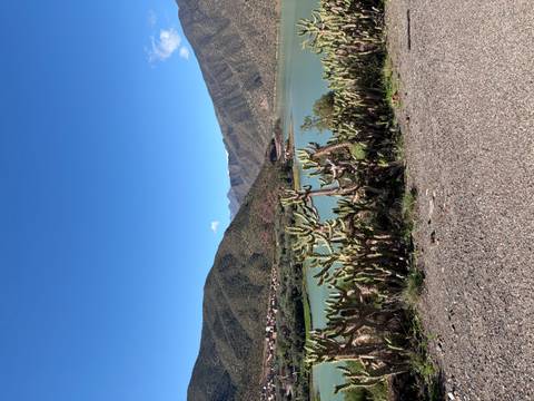       Cactus plants line a roadside overlooking a turquoise lake backed by steep green mountains.
  