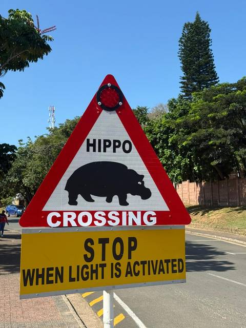       A triangular road sign warning of 'HIPPO CROSSING' along a leafy roadside.
  
