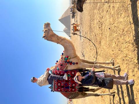       A traveler sits atop a decorated camel while a companion holds the rein with pyramids in the distance.
  
