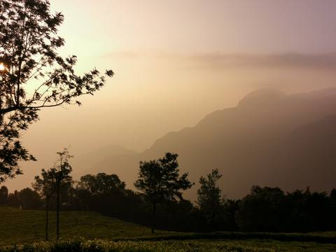       Hazy mountain ridges at dawn with silhouettes of trees against a soft orange sky.
  