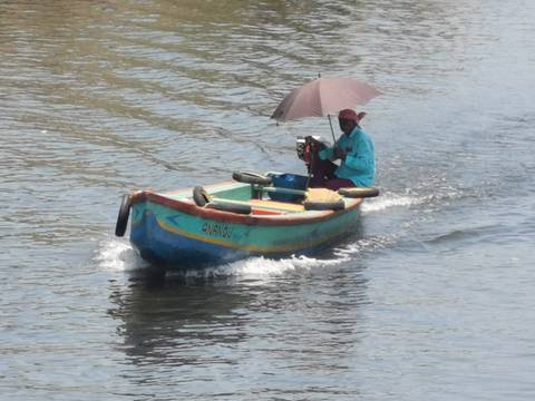       Man in a small painted motorboat holds an umbrella while navigating calm backwater canals.
  