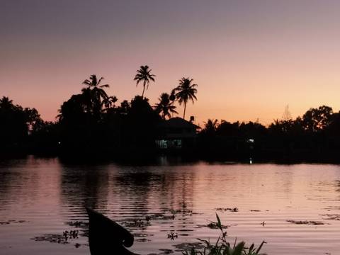       Palm trees and a house reflect in tranquil backwaters at sunset with an orange-pink sky.
  