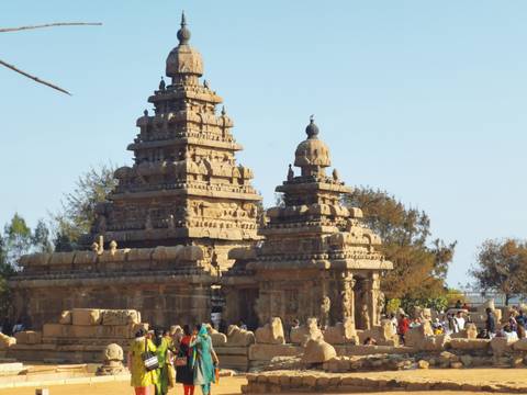       The golden sandstone Shore Temple complex stands under a clear blue sky as visitors explore the grounds.
  