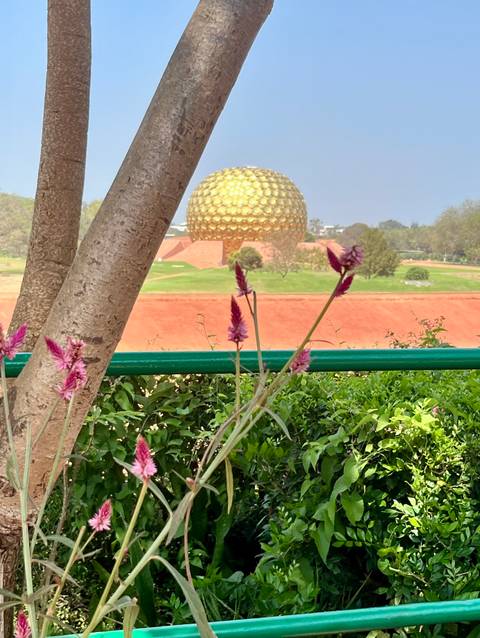       Golden Matrimandir sphere rises in the distance behind flowering plants and green lawns.
  