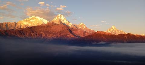       Golden sunlight illuminates the Annapurna peaks above a sea of early-morning cloud.
  