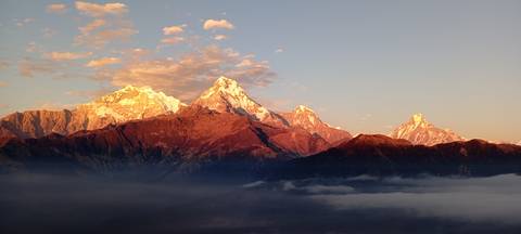       Series of sun-kissed Himalayan summits emerging above a soft cloud layer at dawn.
  
