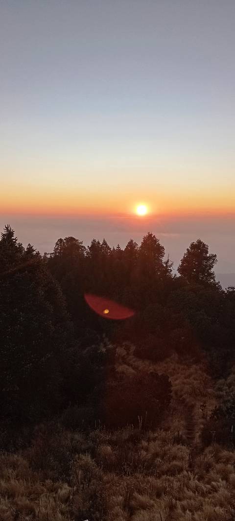       Orange sunrise disc rises above a silhouette of conifer trees and low mist.
  