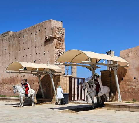       Photo d'avis client sur Les merveilles de luxe du Maroc. (entièrement guidé, hôtels 4*) 
  