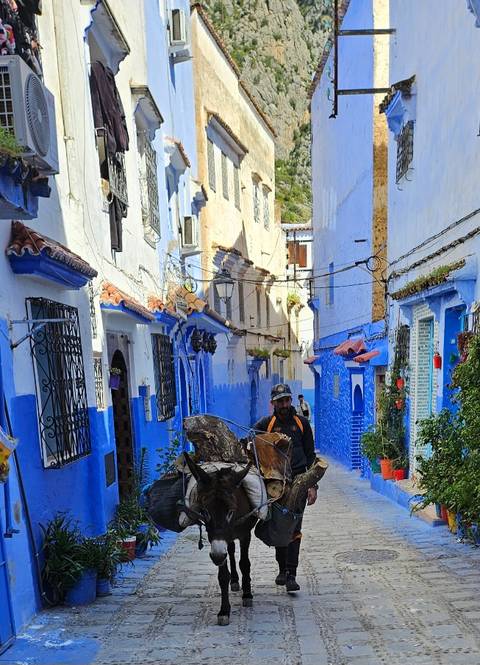       Photo d'avis client sur Les merveilles de luxe du Maroc. (entièrement guidé, hôtels 4*) 
  
