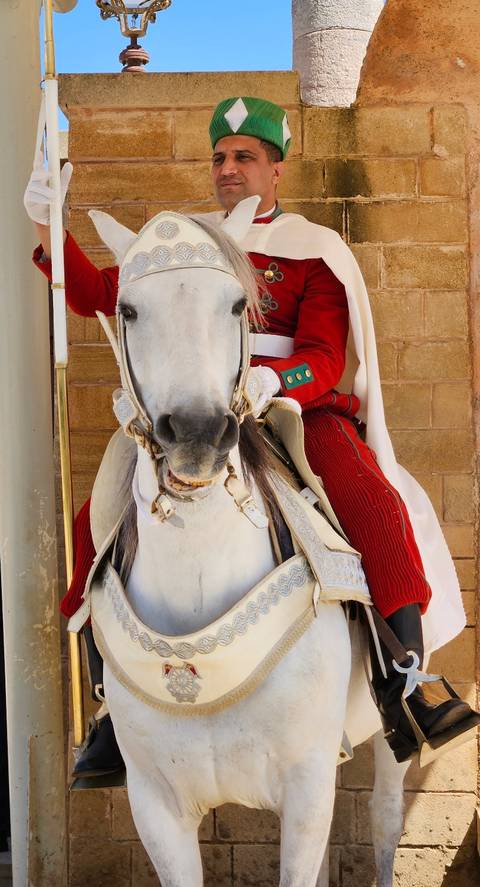       Photo d'avis client sur Les merveilles de luxe du Maroc. (entièrement guidé, hôtels 4*) 
  