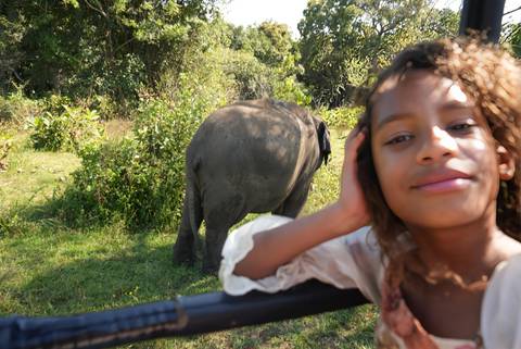       Close shot of a smiling girl on a safari jeep with an elephant grazing in the background.
  