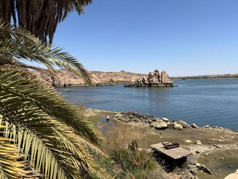       Serene Nile river scene with small rocky island framed by a palm frond under clear sky.
  