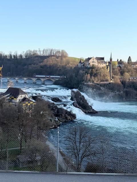       Photo d'avis client sur Voyage à Paris, en Suisse et en Italie 
  