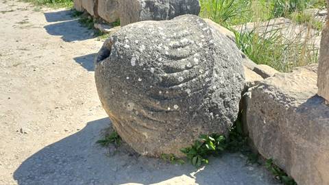       Weathered carved stone artifact with patterned grooves resting among ancient ruins.
  