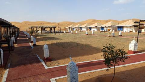       Neat desert camp with rows of canvas tents, palm-frond shade and rolling sand dunes in the background.
  