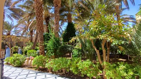       Lush courtyard garden with tall palm trees, clay jars and tiled pathways under bright sunshine.
  