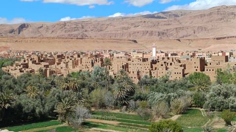       Expansive view of a green oasis village with palm groves framed by arid mountains and farmland.
  