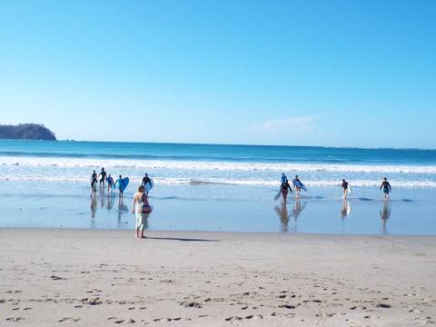      Beach scene with learners carrying surfboards into gentle waves against a bright blue sky.
  