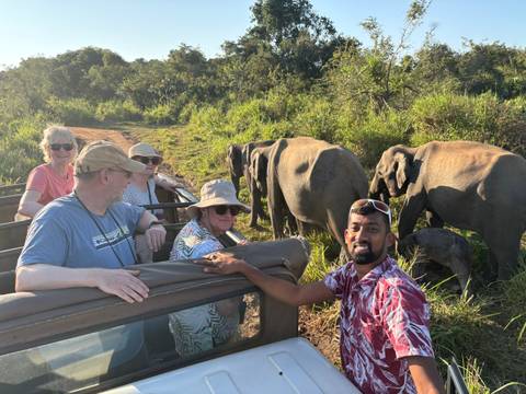       Safari jeep stopped beside a herd of wild elephants in tall grass
  
