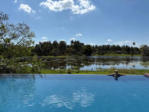       Person relaxing at the edge of an infinity pool facing a lush wetland lagoon
  
