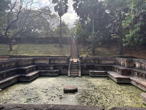       Ancient stepped bathing pool with mossy water and central plinth
  