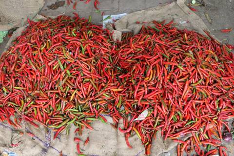       Vibrant heap of red and green chili peppers spread over burlap at a market stall.
  
