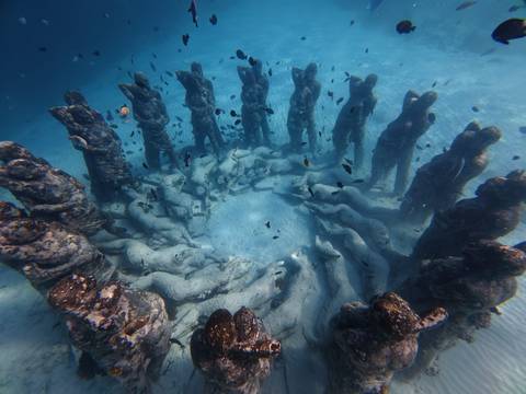       Underwater sculpture ring of human figures colonised by marine life in clear blue water.
  