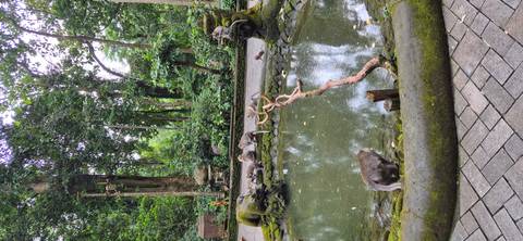       Quiet pond surrounded by moss-covered monkey statues and forest in Ubud Monkey Forest.
  