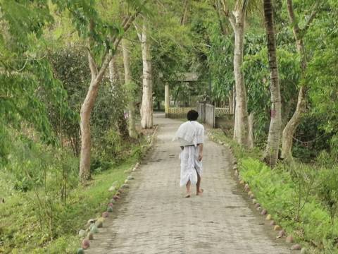       A barefoot man in white traditional robe walks alone along a tree-lined path in lush greenery.
  