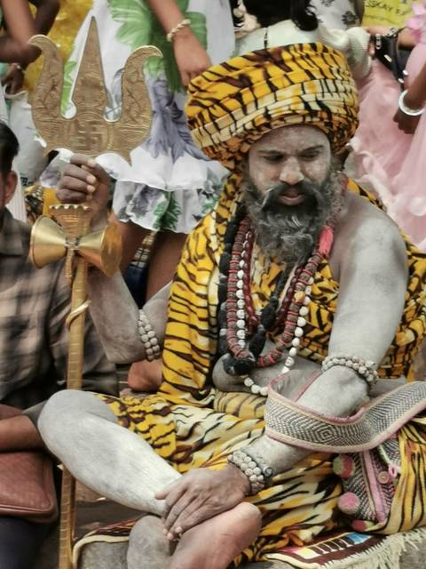       Close-up of a bearded holy man covered in ash, wearing tiger-print cloth and multiple bead necklaces, holding a ceremonial staff.
  
