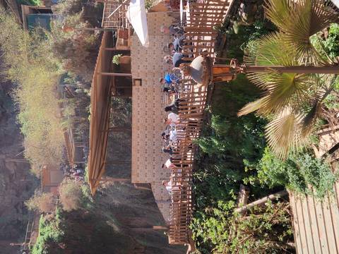       Outdoor cafe terrace built against a rocky gorge where diners sit under warm sunlight surrounded by greenery
  