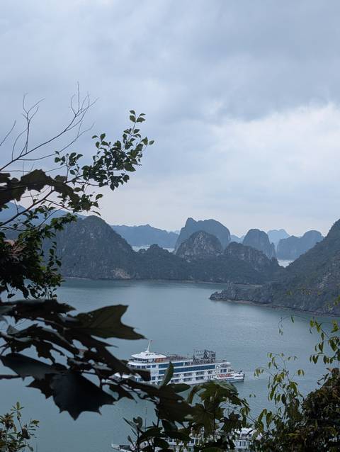       Panoramic vista of jagged limestone islands and serene emerald waters seen through foliage in Halong Bay.
  