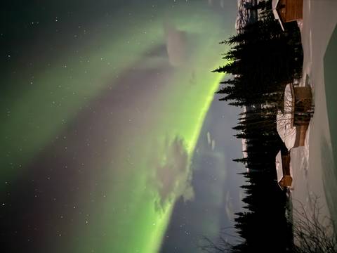       Northern lights dancing above snowy cabins and dark conifer forest at night
  