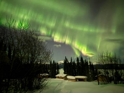       Vivid green aurora streaks over snowy forest landscape with cabins below
  