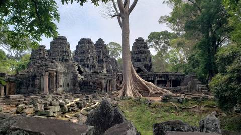       Stone temple ruins entwined by massive tree roots in a lush jungle setting
  