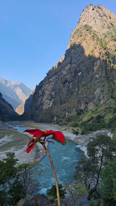       Steep river gorge with towering rock walls and distant snowy peaks under clear skies.
  