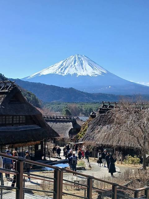       Traditional thatched village houses lie beneath the majestic snowy cone of Mount Fuji on a clear day.
  