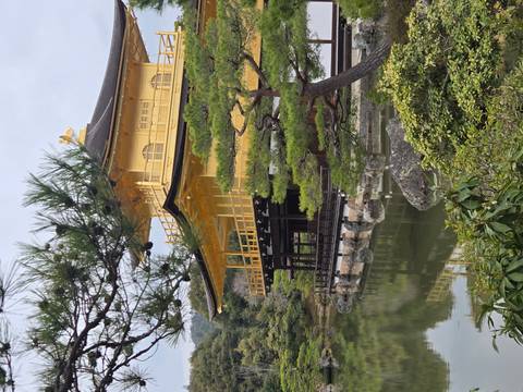       Golden Pavilion (Kinkaku-ji) reflects on a tranquil pond framed by manicured pines in Kyoto.
  