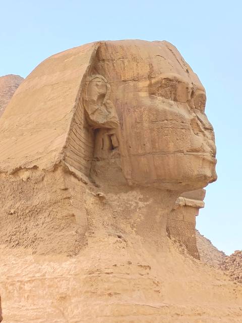       Close-up side view of the weathered face of the Great Sphinx under clear sky
  