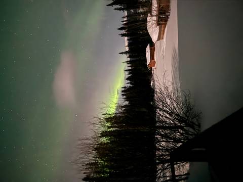       Subtle green aurora glow above snowy ground and a small wooden cabin framed by dark trees.
  