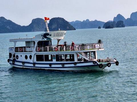       A white sightseeing boat cruising on calm green water with dramatic karst islands in the background and a Vietnamese flag flying.
  