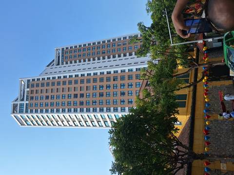       A tall modern high-rise hotel rises above leafy trees under a clear blue sky.
  