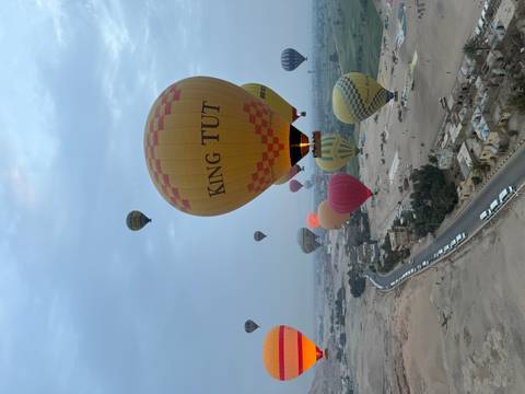       Dozens of colourful hot-air balloons, including one labelled 'King Tut', rise above the Nile valley at dawn.
  