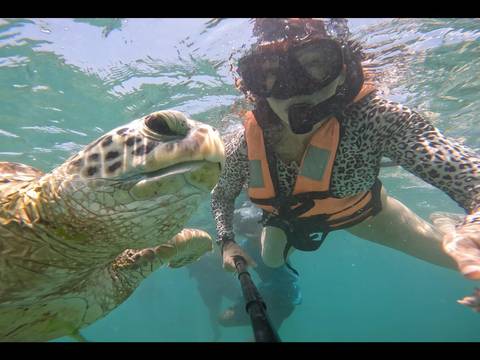       Underwater selfie of a snorkeler in a life vest observing a green sea turtle in clear blue water.
  