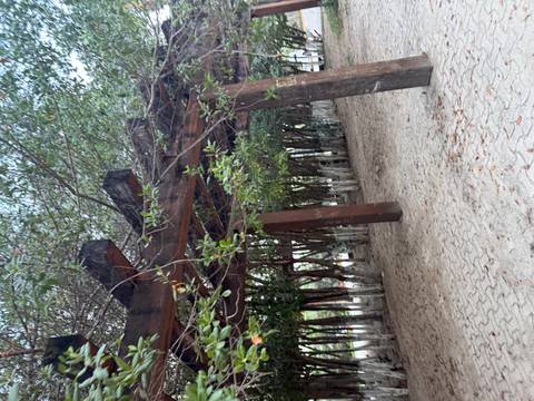       Wooden pergola covered with leafy branches over a sandy walkway in a quiet park area.
  