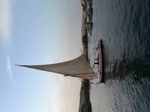       Traditional felucca sailboat glides along calm river waters at dusk under a pale sky.
  